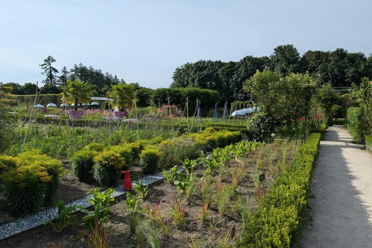 Planung und Design Permakulturgarten mit essbaren Pflanzen und Sträuchern.